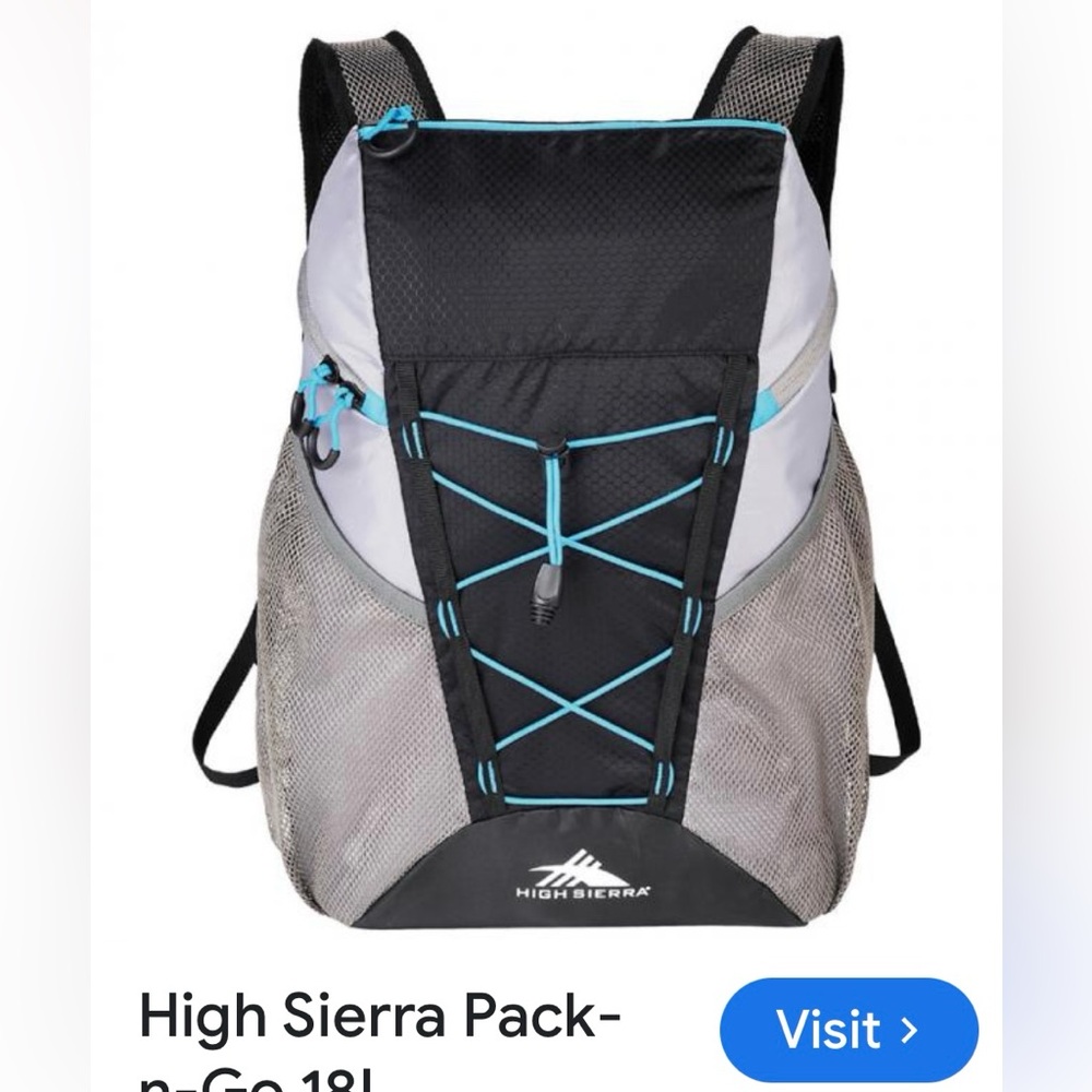 NWT High Sierra 18L Backpack
